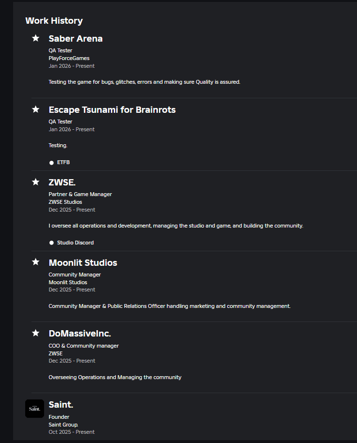 Experience Project Manager